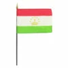 Tajikistan 4" X 6" Stick Flag