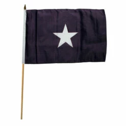 Bonnie Blue 12in X 18in Stick Flag