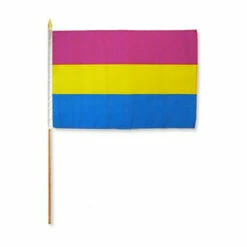 Pansexual 12" X 18" Stick Flag