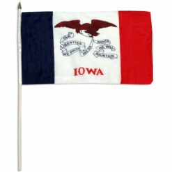 Iowa Flag 12 X 18 Inch
