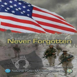 POW MIA Recognition Day Poster
