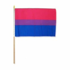Bisexual 12" X 18" Stick Flag