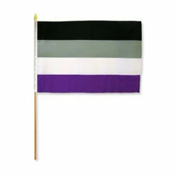 Asexual 12" X 18" Stick Flag